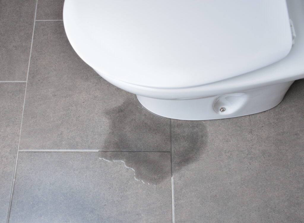 A toilet leaking at the base