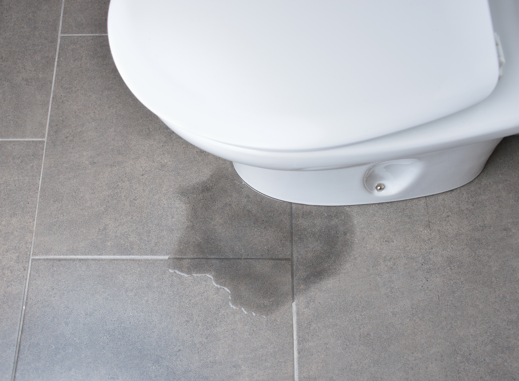 Rest room Leaking on the Base? Study About Causes & Fixes